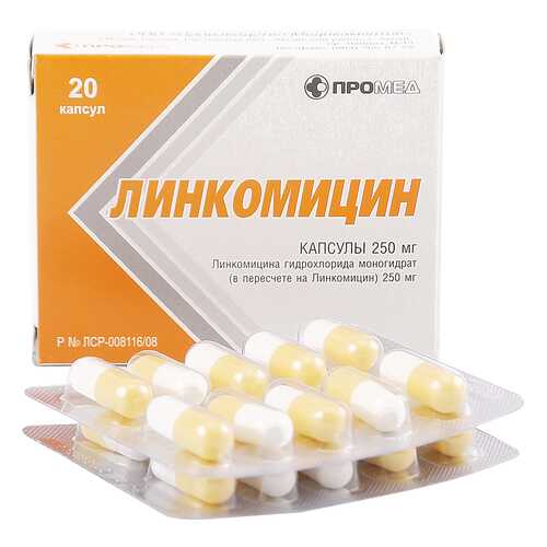 Линкомицин гидрохлорид капсулы 0,25 г 20 шт. в Фармаимпекс